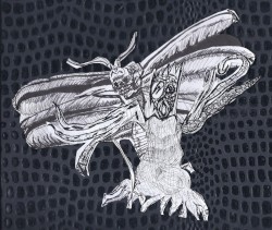 insectsex