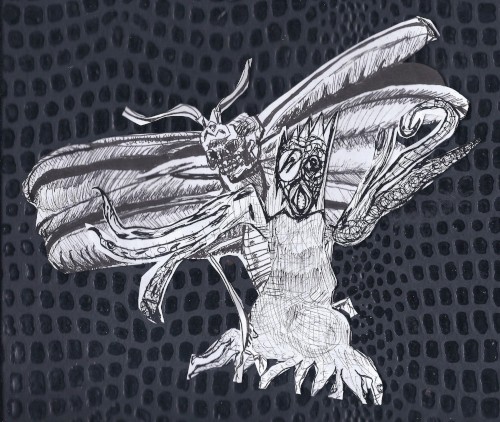 insectsex