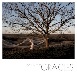 Oracles