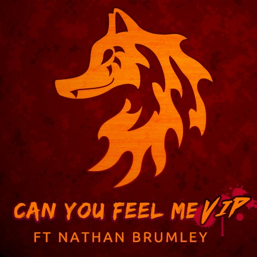 Can You Feel Me (VIP)