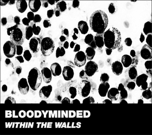 Within the Walls