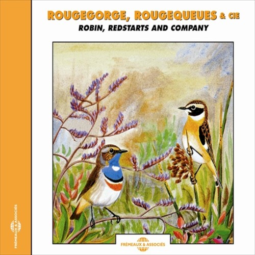 Rougegorge, Rougequeues & cie / Robin, Redstarts and Company