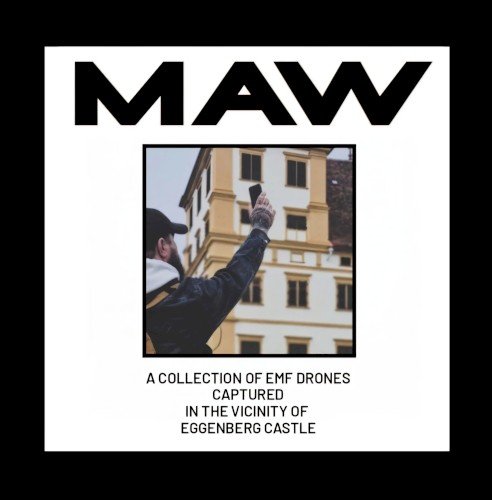 A Collection of EMF Drones Captured in the Vicinity of Eggenberg Castle