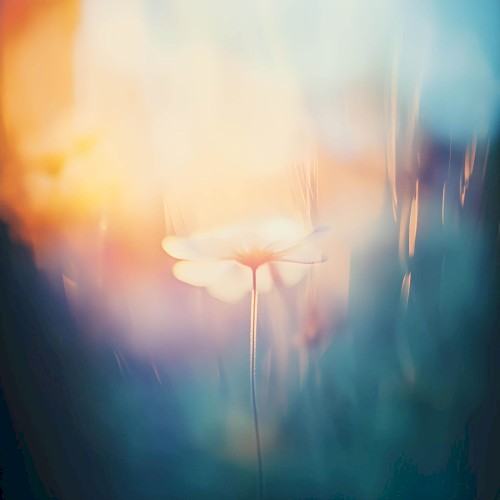 Dwell