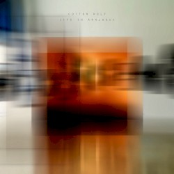 Life in Analogue