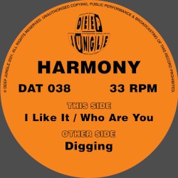 Digging / I Like It / Who Are You