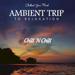 Ambient Trip to Relaxation: Chillout Your Mind