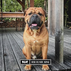 Der Hunde Song