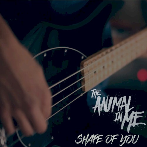 Shape of You