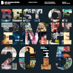 Best of Big Mamas House Records 2015