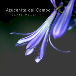 Azucenita del campo