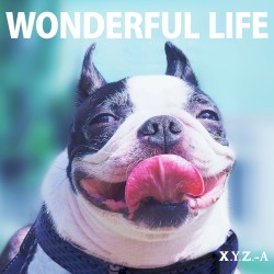 Wonderful Life
