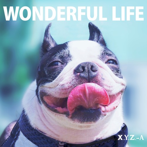Wonderful Life