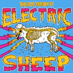 Electric Sheep