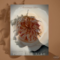 Lincoln Lounge pt. 2: The Juliet