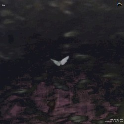 Far