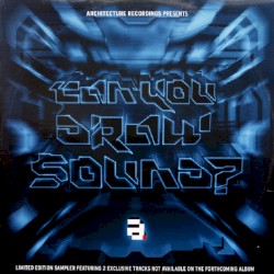 Can You Draw Sound? LP Sampler