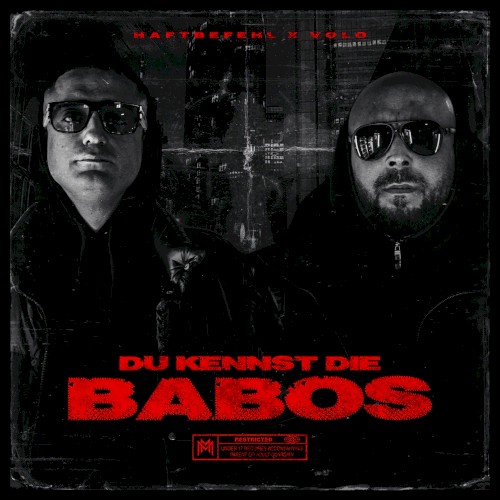 DU KENNST DIE BABOS