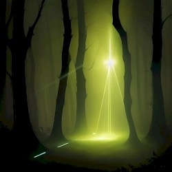 Tief im Wald