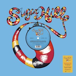 The Message (dub) / Rapper’s Delight (dub)