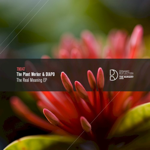 The Real Meaning EP