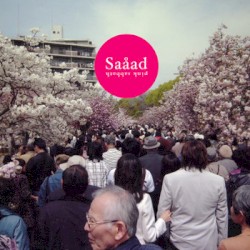Pink Sabbath