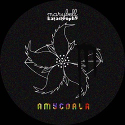 Amygdala