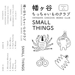 SMALL THINGS