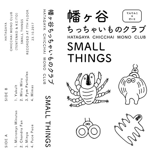 SMALL THINGS
