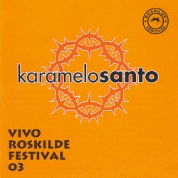 Vivo Roskilde Festival 03