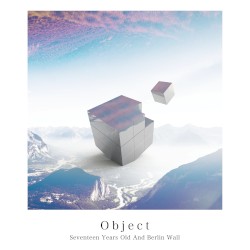Object