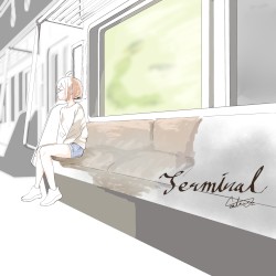 Terminal