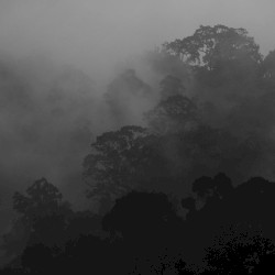 B-side of Demo II