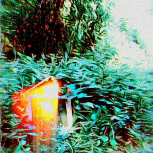 Sounds of Aesthetics