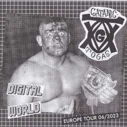 Digital World (Euro Tour 7”)