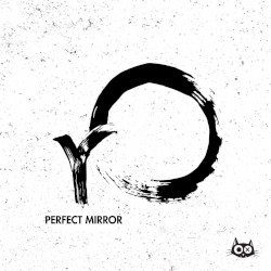 Perfect Mirror