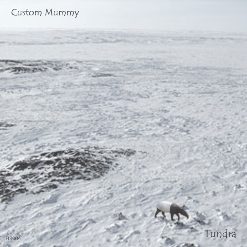 Tundra