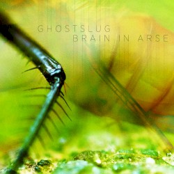 Ghostslug / Brain in Arse