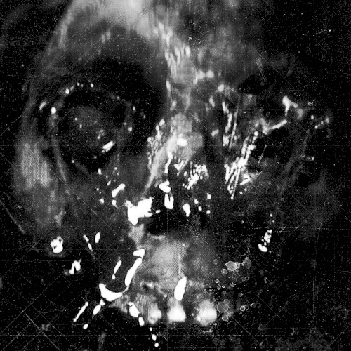 Sublevel Abyss