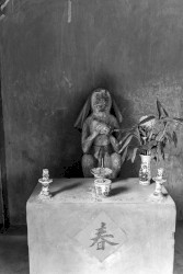 Build an Altar to Host the Phantoms Who Are Escaping From the Sugar Coated Heaven of Your Bleeding Heart