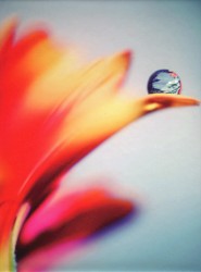 Falling