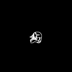 100% Galcher