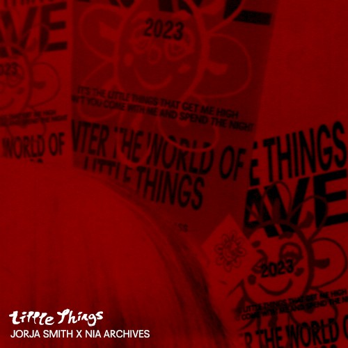 Little Things (Nia Archives remix)