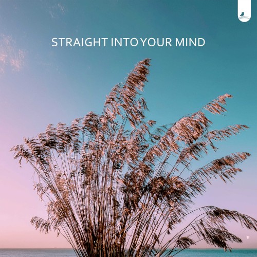 Straight Into Your Mind