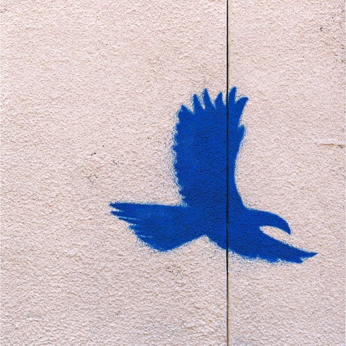 The Wall (ep)