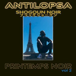 Printemps noir, volume 2