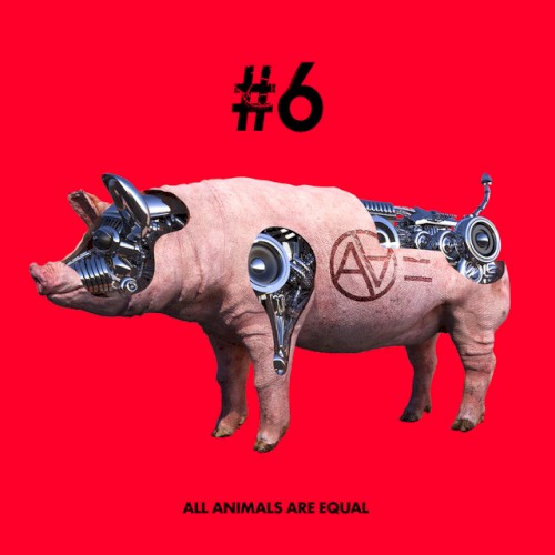 #6