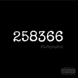 258366