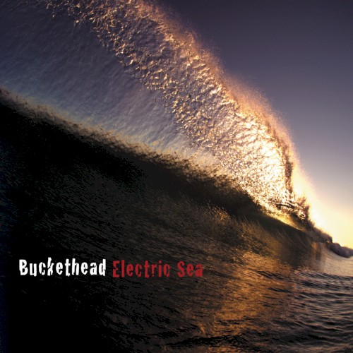 Electric Sea
