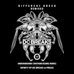 Infinity VIP / Underground (Tantrum Desire remix)